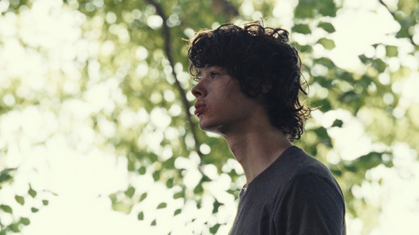 動物界 9枚目の写真・画像