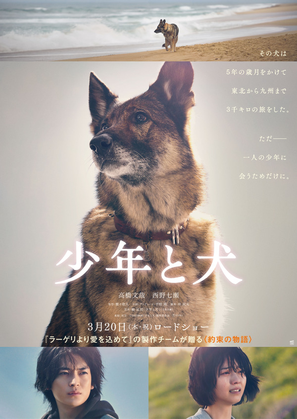 少年と犬（2025） 3枚目の写真・画像