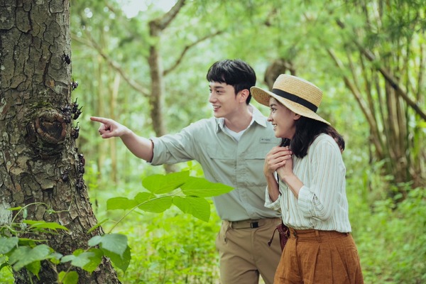 トラブル・ガール 8枚目の写真・画像