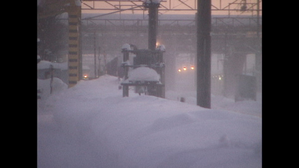 どうすればよかったか？ 13枚目の写真・画像