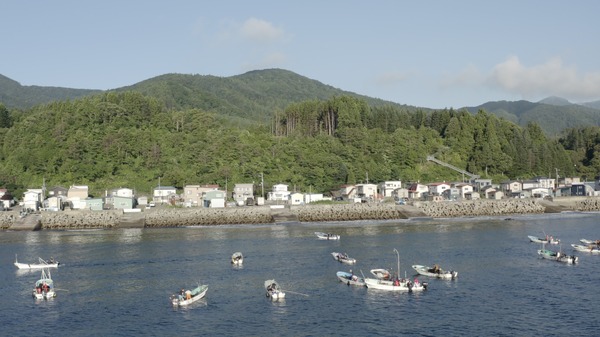 ここにいる、生きている。 〜消えゆく海藻の森に導かれて〜 3枚目の写真・画像