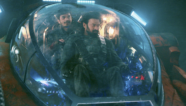 カルキ 2898-AD 9枚目の写真・画像