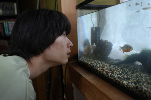 ナマズのいた夏 3枚目の写真・画像