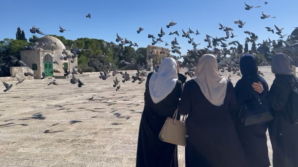 子どもたちはもう遊ばない 8枚目の写真・画像