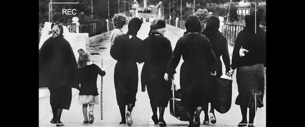 蝶の渡り 2枚目の写真・画像