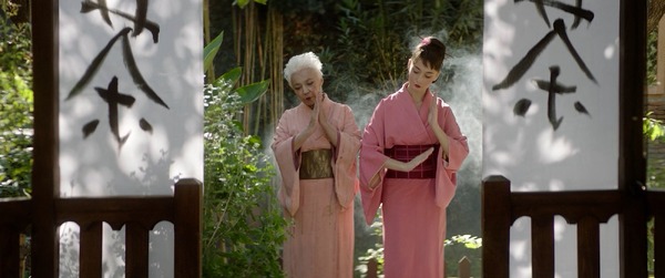 蝶の渡り 9枚目の写真・画像