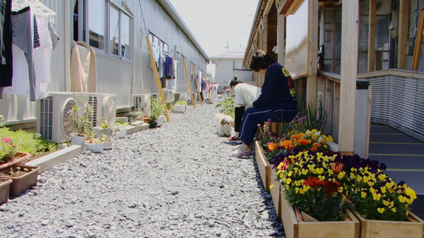 風に立つ愛子さん 11枚目の写真・画像