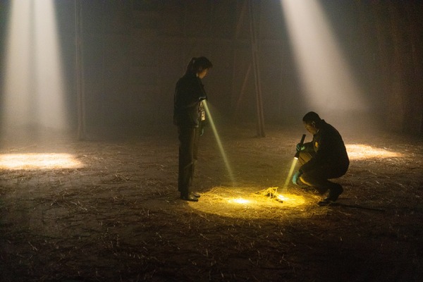 ロングレッグス 8枚目の写真・画像