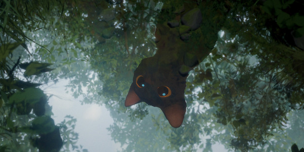 Flow 4枚目の写真・画像