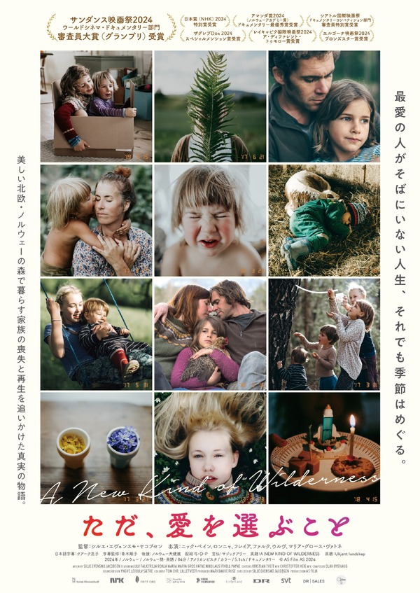 ただ、愛を選ぶこと 1枚目の写真・画像