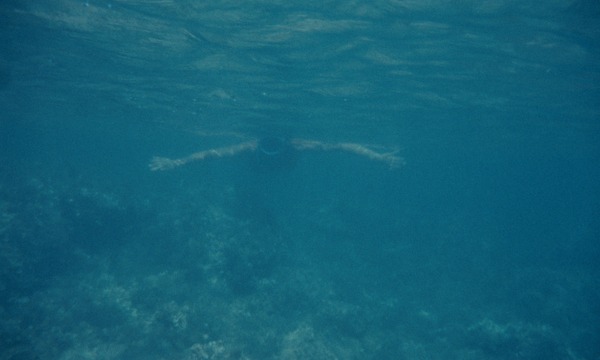 ジュ・テーム、ジュ・テーム 8枚目の写真・画像