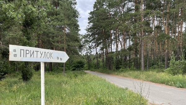 犬と戦争　ウクライナで私が見たこと 9枚目の写真・画像