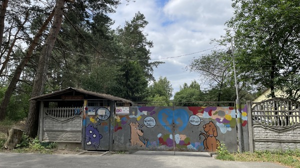 犬と戦争　ウクライナで私が見たこと 10枚目の写真・画像