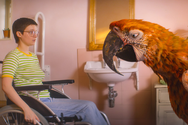 終わりの鳥 2枚目の写真・画像