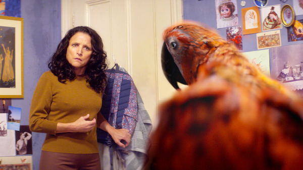 終わりの鳥 4枚目の写真・画像