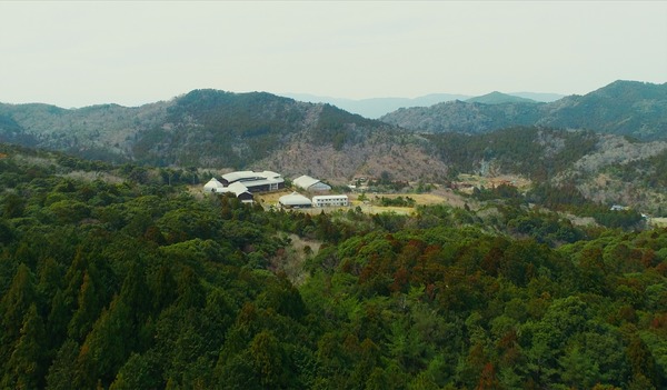 風たちの学校 5枚目の写真・画像