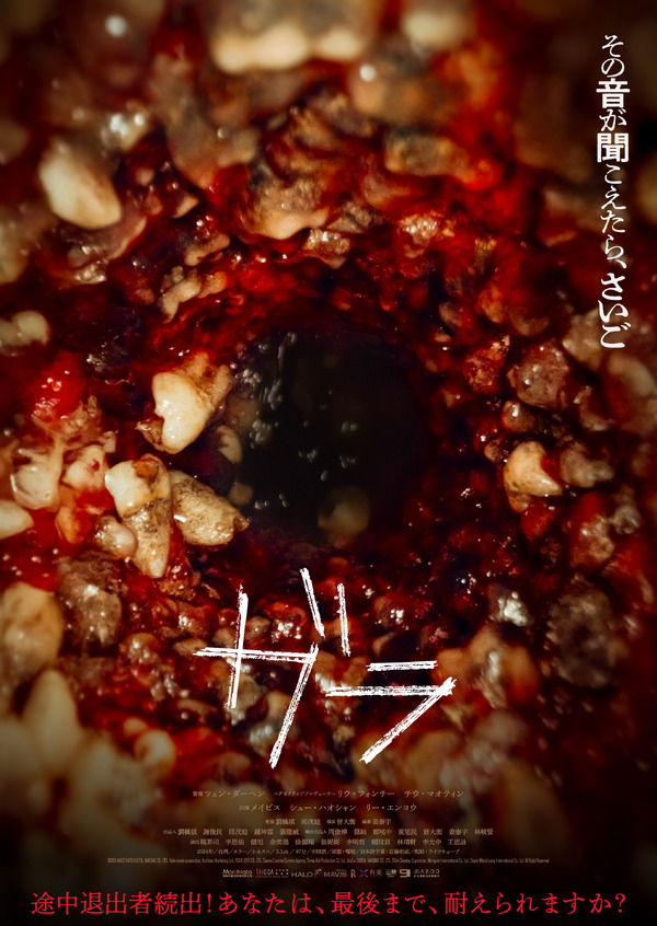 ガラ 1枚目の写真・画像