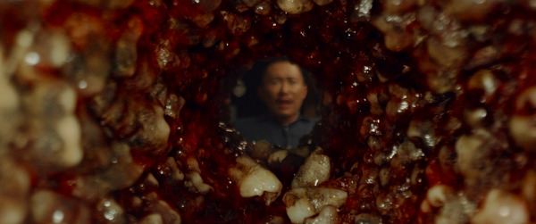 ガラ 3枚目の写真・画像