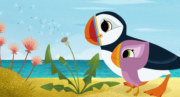 パフィンの小さな島 6枚目の写真・画像