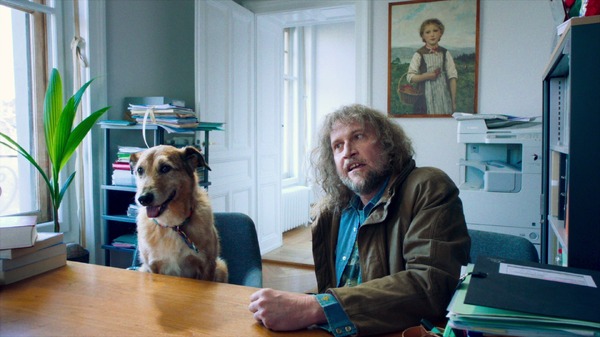 犬の裁判 8枚目の写真・画像