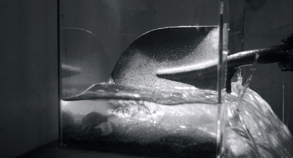 朝の火 9枚目の写真・画像