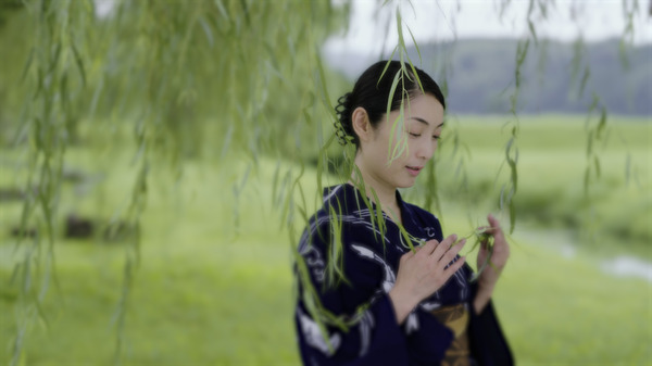 骨なし灯籠 3枚目の写真・画像