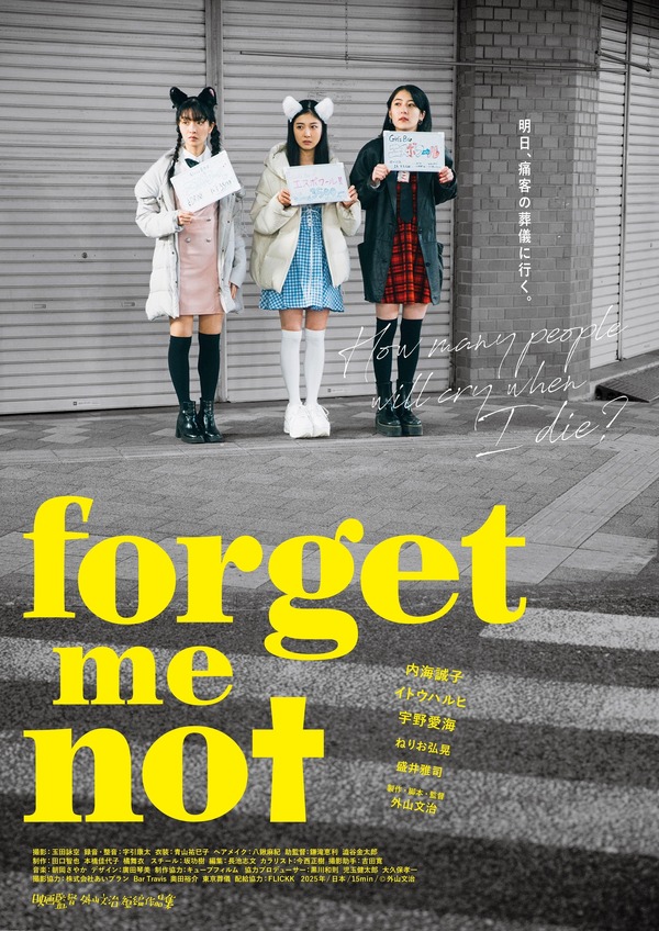 forget-me-not 1枚目の写真・画像