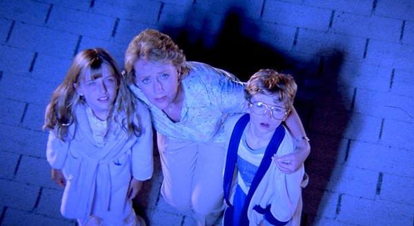 ミステリアス・スキン 10枚目の写真・画像