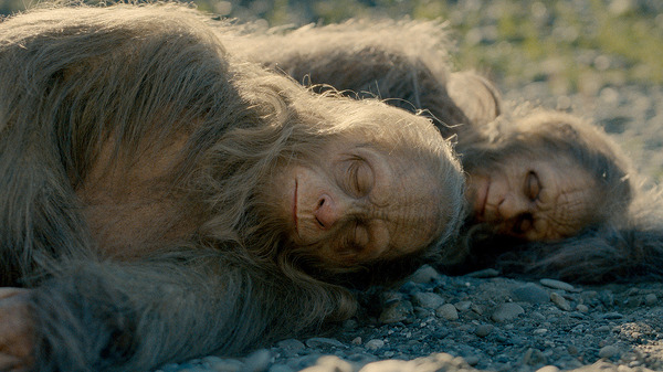 サスカッチ・サンセット 11枚目の写真・画像