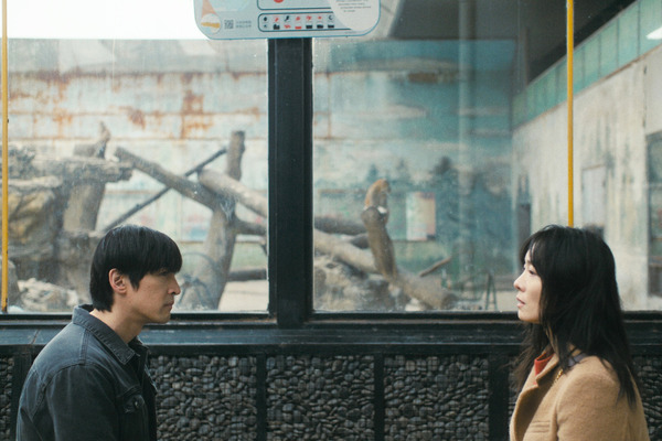 来し方 行く末 7枚目の写真・画像