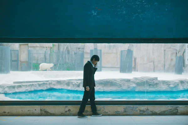 来し方 行く末 10枚目の写真・画像