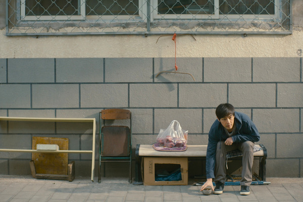 来し方 行く末 11枚目の写真・画像