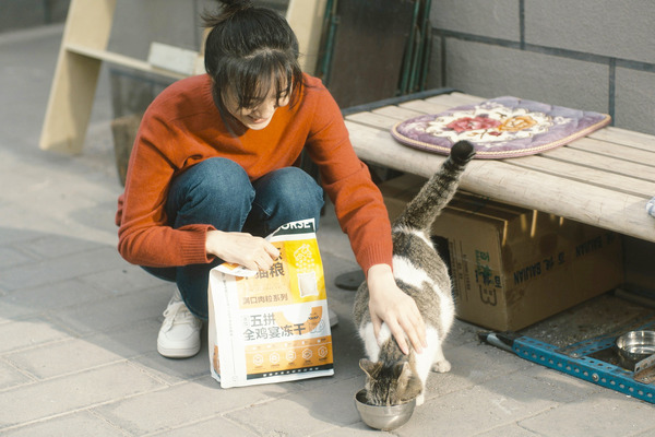 来し方 行く末 12枚目の写真・画像