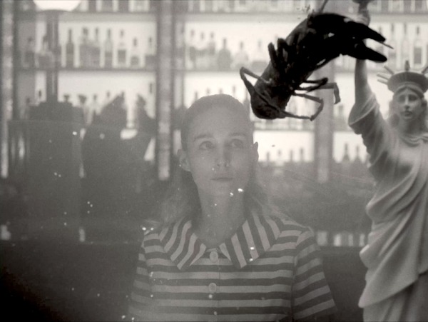 ラ・コシーナ／厨房 11枚目の写真・画像