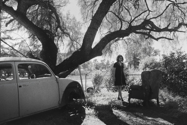 フォーチュンクッキー 8枚目の写真・画像