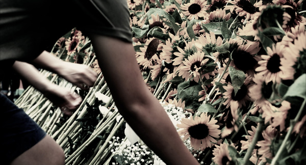 灰となっても 18枚目の写真・画像