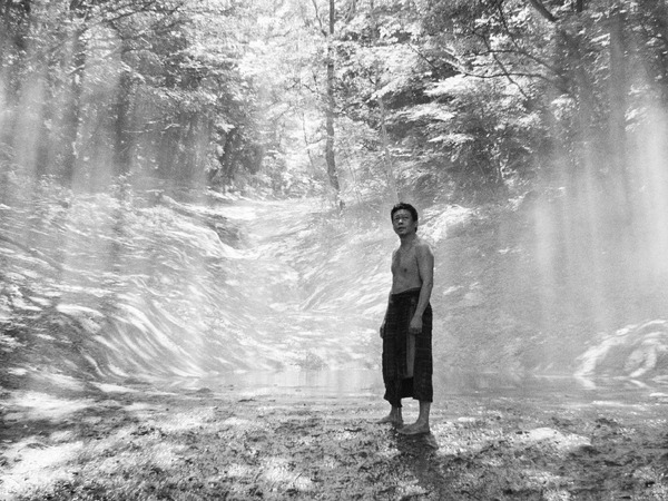 黒の牛 2枚目の写真・画像