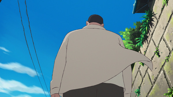 ホウセンカ 9枚目の写真・画像