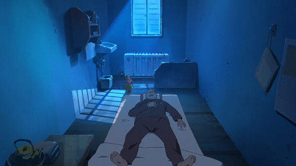 ホウセンカ 10枚目の写真・画像