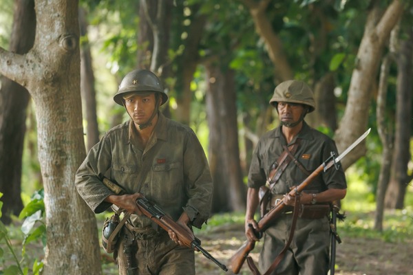木の上の軍隊 9枚目の写真・画像