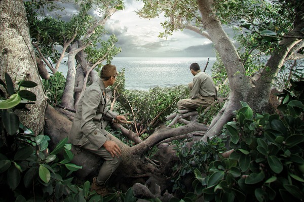 木の上の軍隊 10枚目の写真・画像
