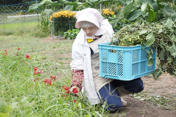 渇愛 3枚目の写真・画像