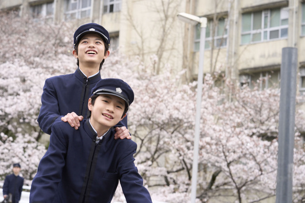 国宝 18枚目の写真・画像