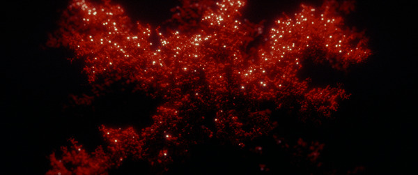 NEW RELIGION 3枚目の写真・画像