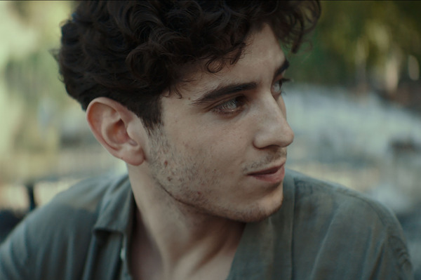 美しい夏 8枚目の写真・画像