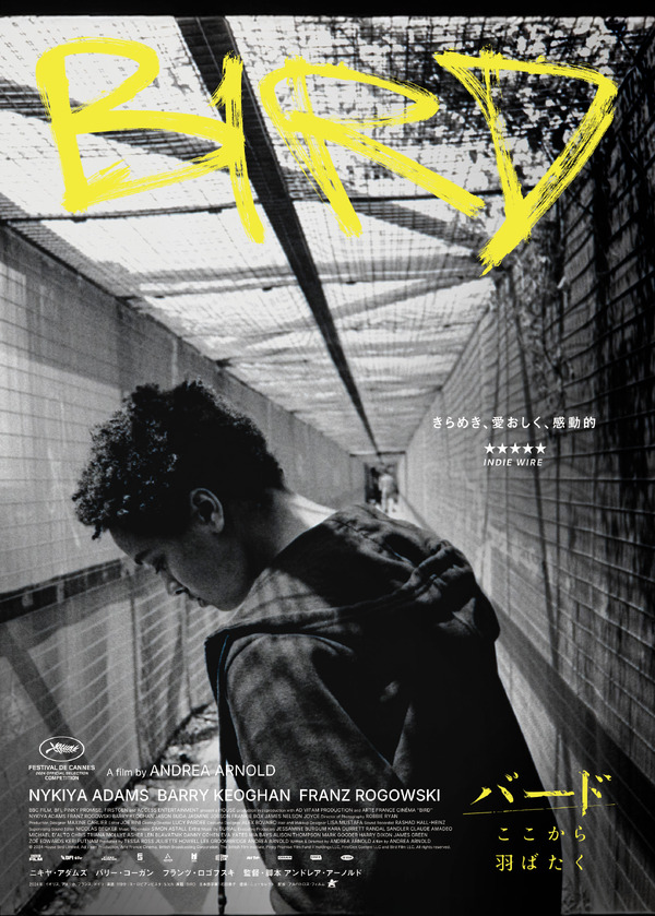 バード ここから羽ばたく 2枚目の写真・画像