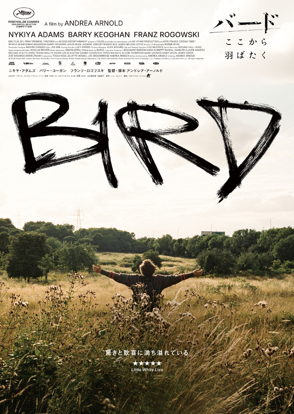 バード ここから羽ばたく 4枚目の写真・画像