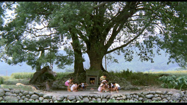 冬冬の夏休み デジタルリマスター版 8枚目の写真・画像