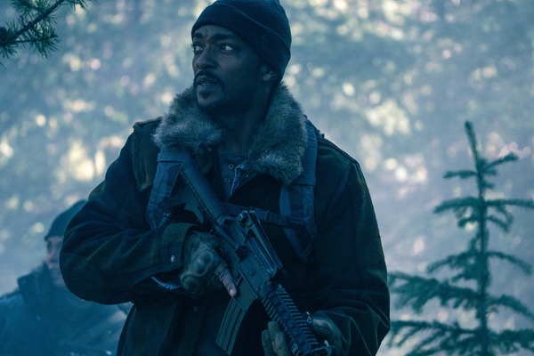 エレベーション　絶滅ライン 2枚目の写真・画像