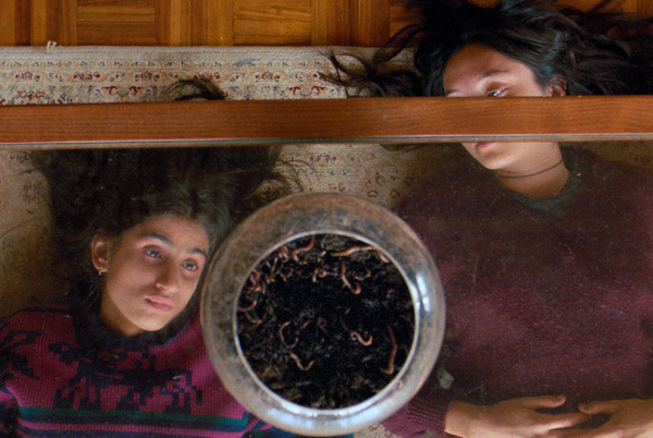 九月と七月の姉妹 6枚目の写真・画像